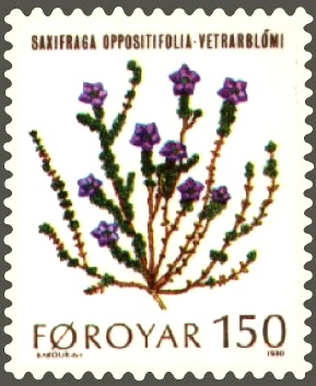 File:Faroe stamp 044 mountain flowers (saxifraga oppositifolia).jpg