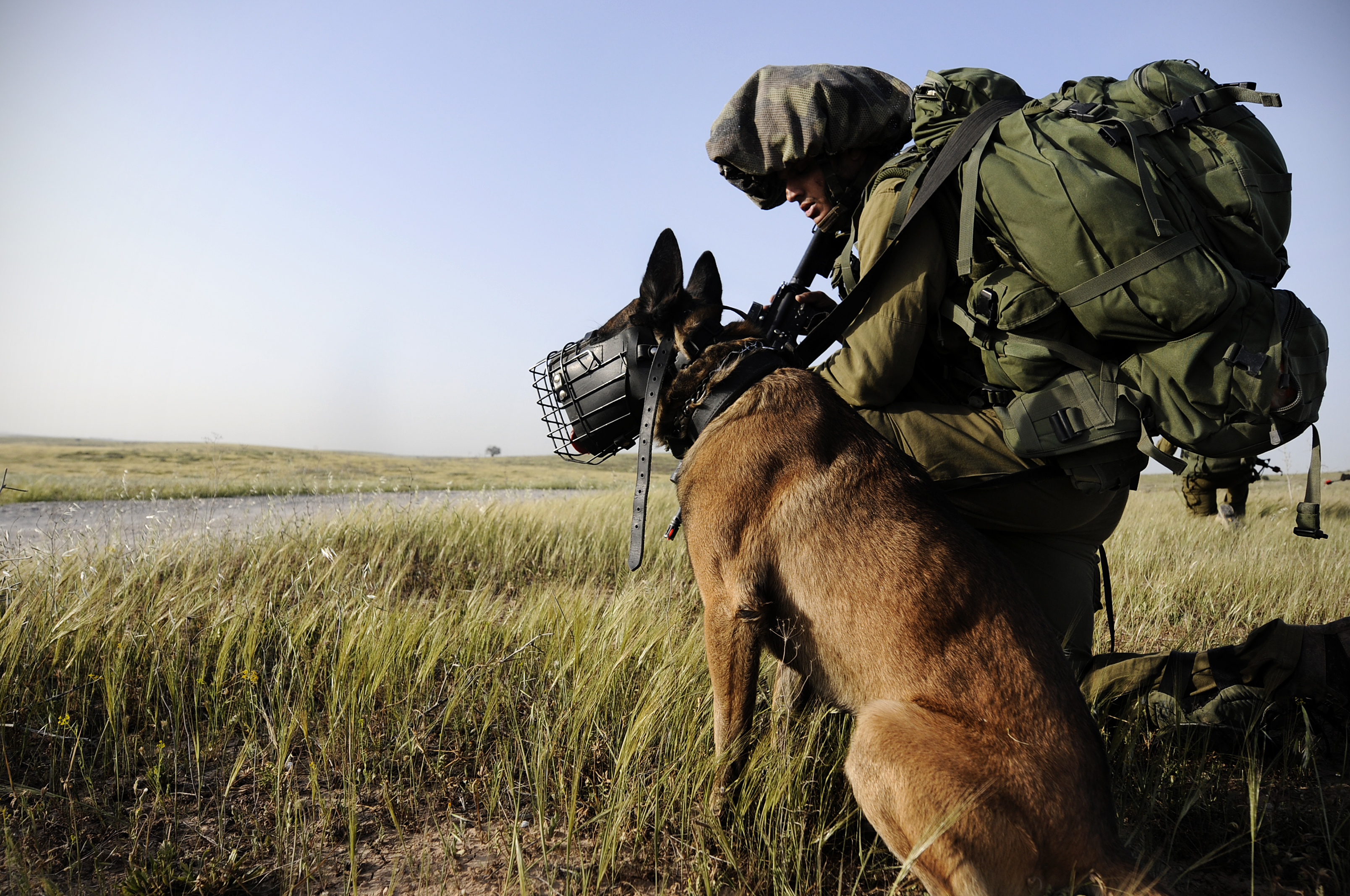 Flickr - Israel Defense Forces - Take in the view.jpg