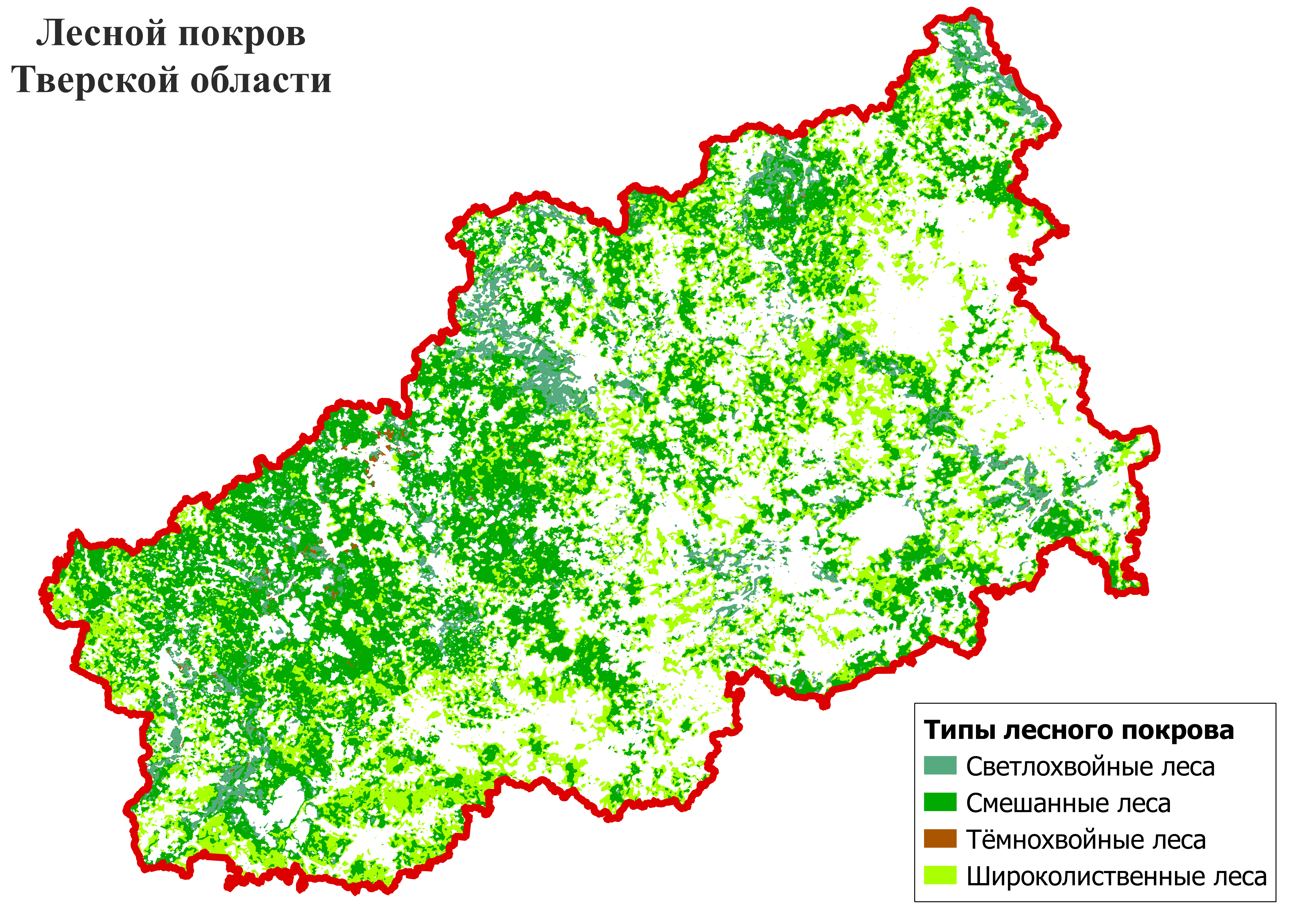 Карта хвойных лесов