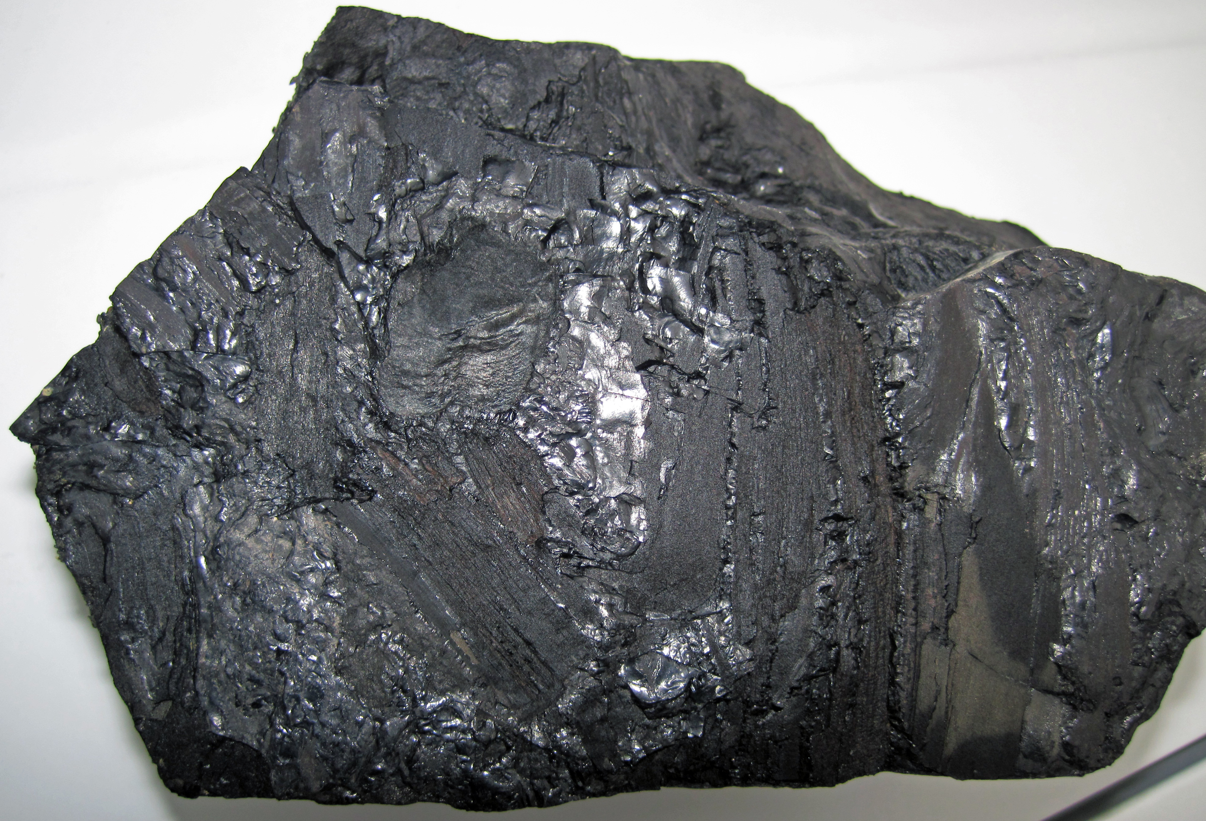 Steam coal is used for фото 52