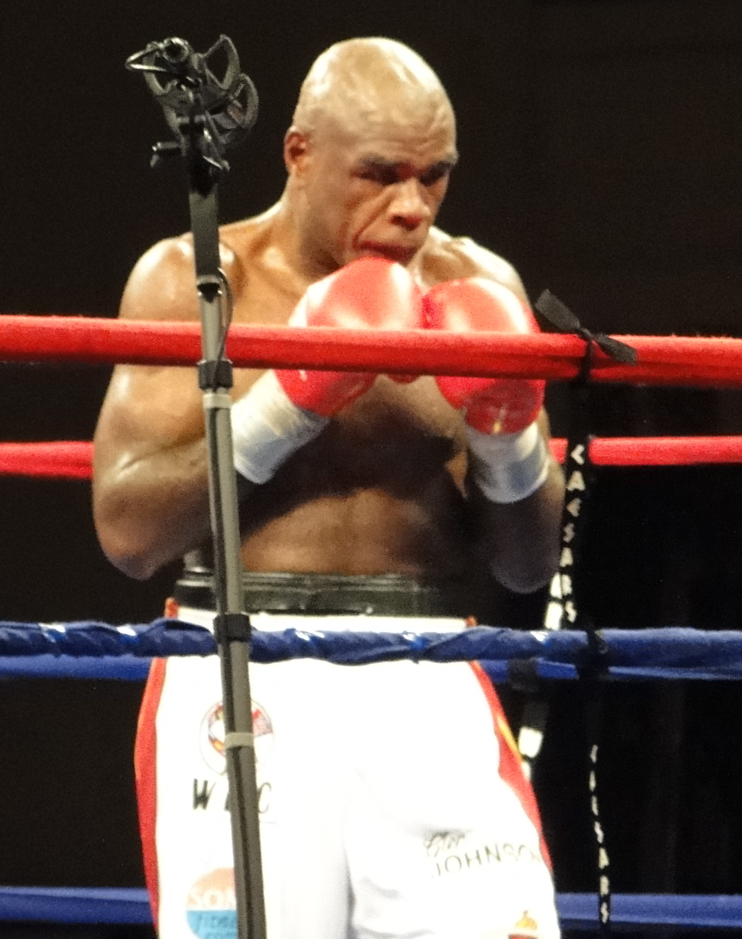 Roy Jones Jr. - Wikipedia