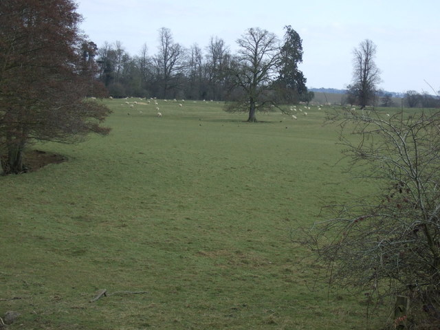 File:Grazing near Newbold-on-Stour - geograph.org.uk - 3399197.jpg