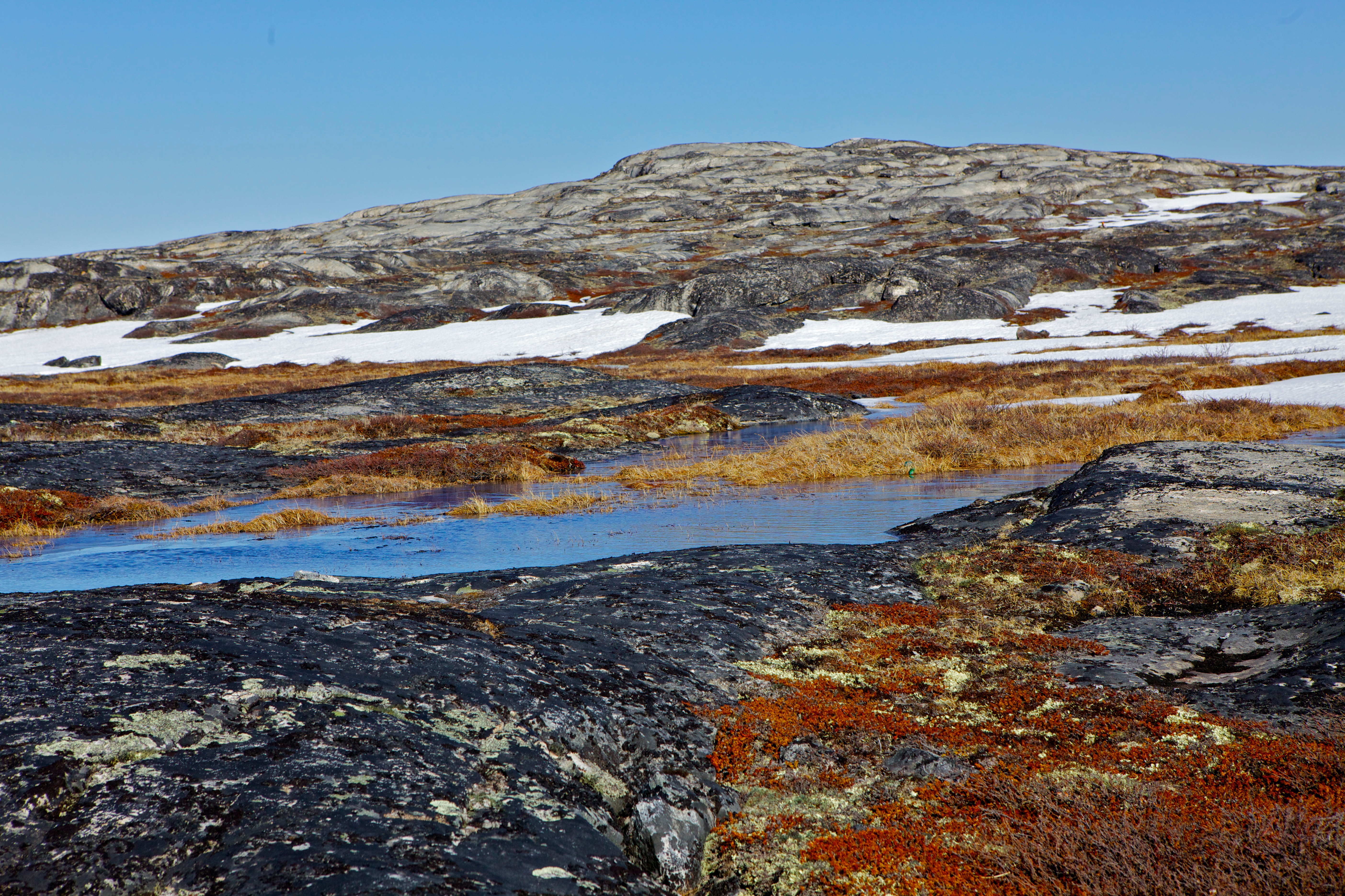 Почвы арктических пустынь в северной америке. Тундра Гренландии. Tundra Iklimi. Арктика тундра. Тундра почва 4лк.