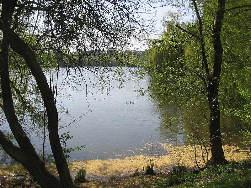 File:Grimnitzsee 3 Berlin.JPG