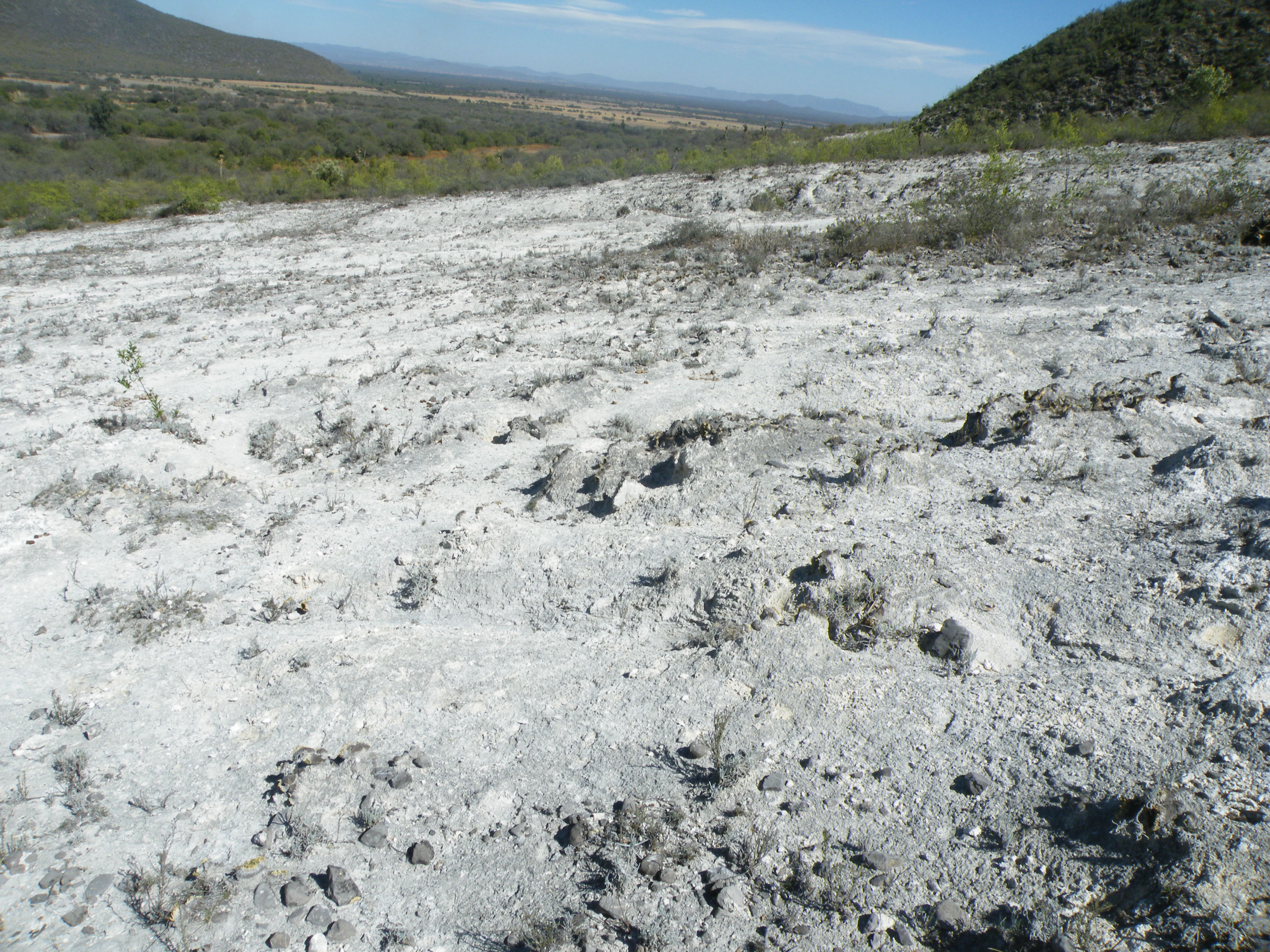 Guaxcama, San Luis Potosi (5703133235).jpg