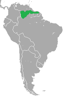 Descripción de la imagen area.png de la zarigüeya orejiblanca de Guyana.