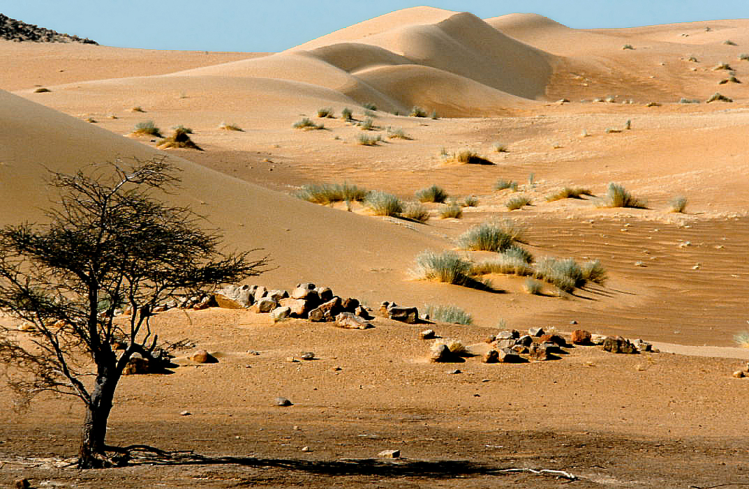 Cuál es el desierto más grande del mundo