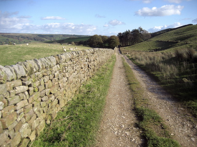 Nidderdale Way approaching Hillend - geograph.org.uk - 1025911