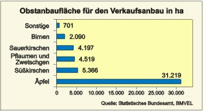 File:Obstanbaufläche für den Verkaufsanbau.jpg