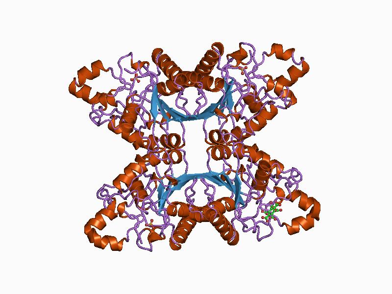 File:PDB 1bq4 EBI.jpg