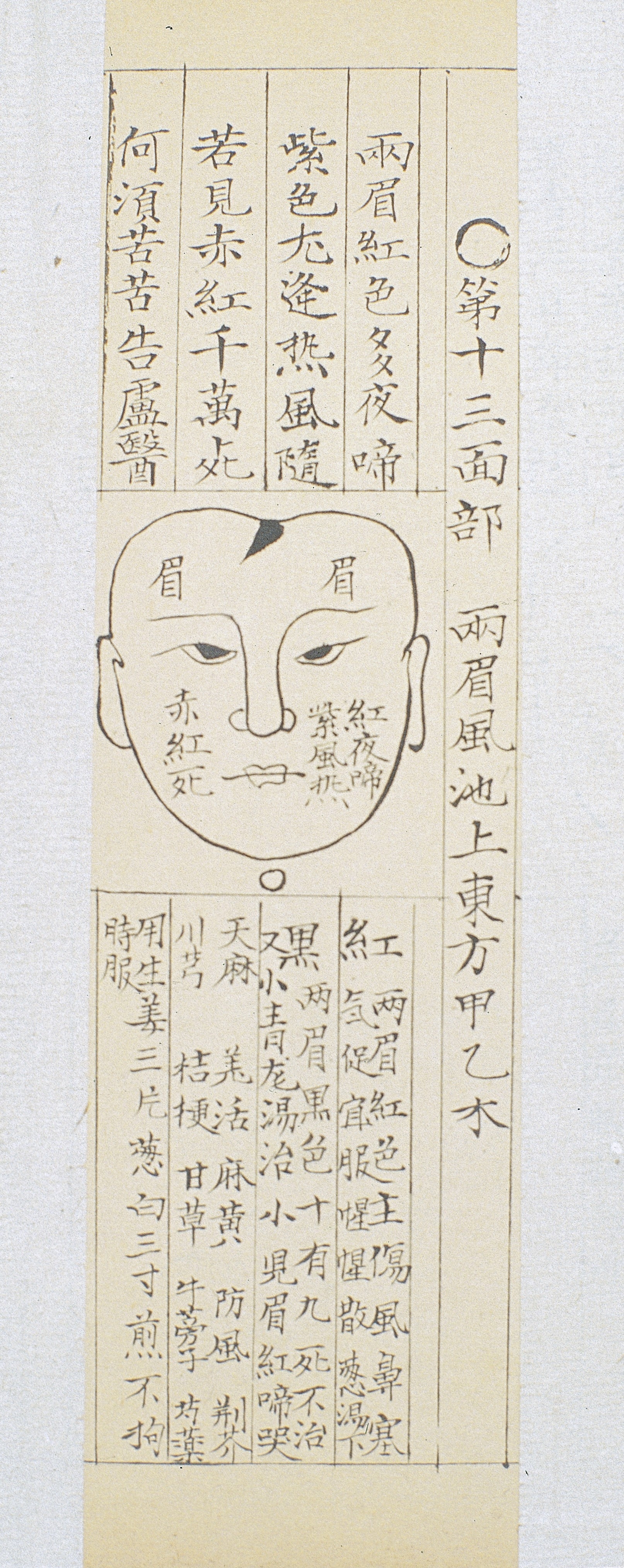 Qing_Chinese_paediatric_face_diagnosis_c