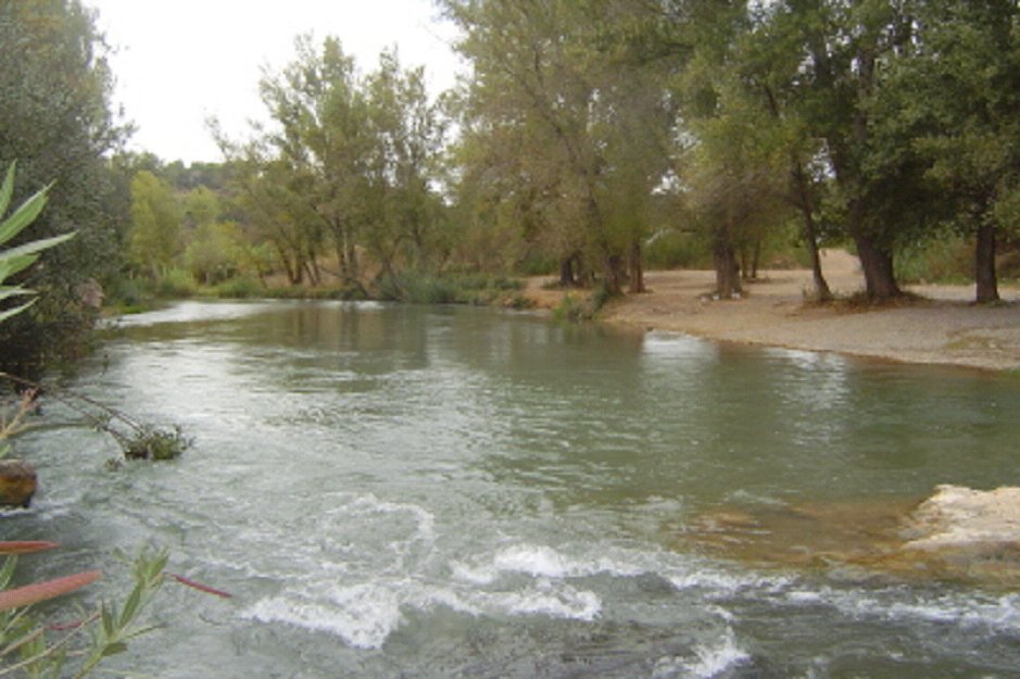 Turia (river)