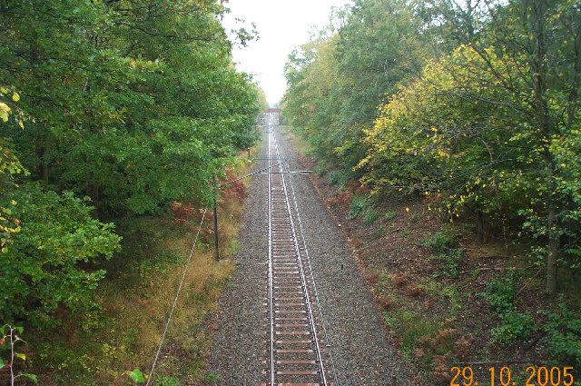 Railway through Bricket Wood Common - geograph.org.uk - 71825