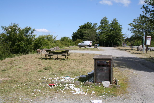 Roadside Picnic - Wikipedia