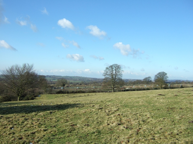 Sandon Park - geograph.org.uk - 1160003