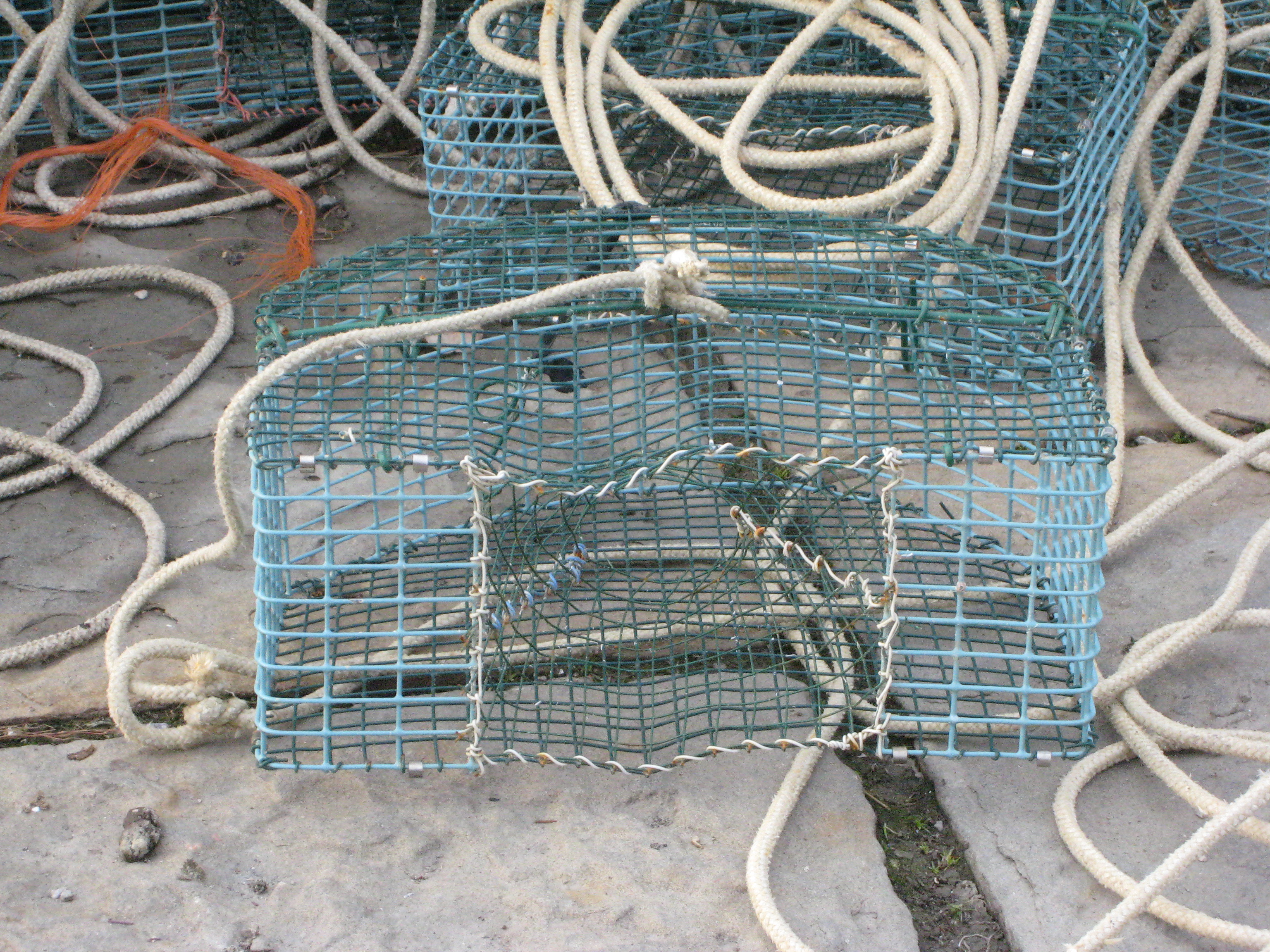 Crab trap - Wikipedia
