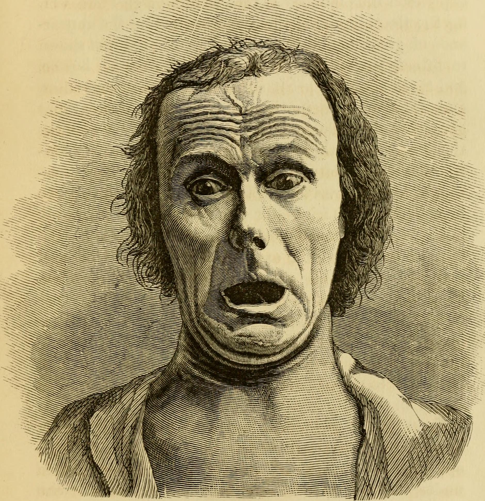 File:The expression of the emotions in man and animals (1872)  (14762147996).jpg - Wikimedia Commons