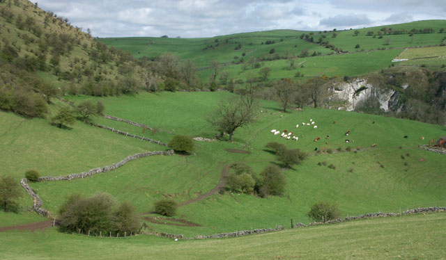 File:The flank of Old Park Hill - geograph.org.uk - 366853.jpg