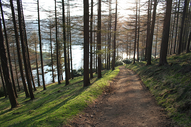 File:Track to Derwent Reservoir from Nether Hey - geograph.org.uk - 385185.jpg