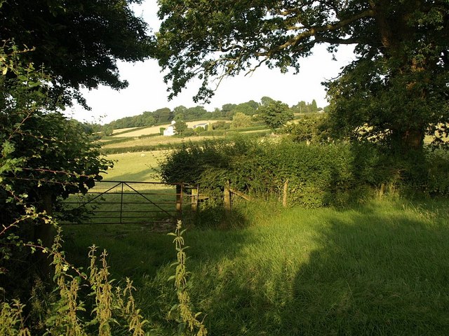 File:Witheridge Farm - geograph.org.uk - 905508.jpg