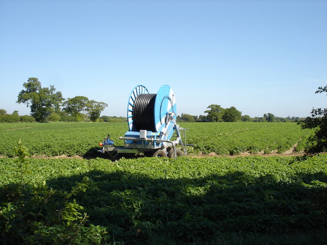 File:A Suffolk field - geograph.org.uk - 1316720.jpg