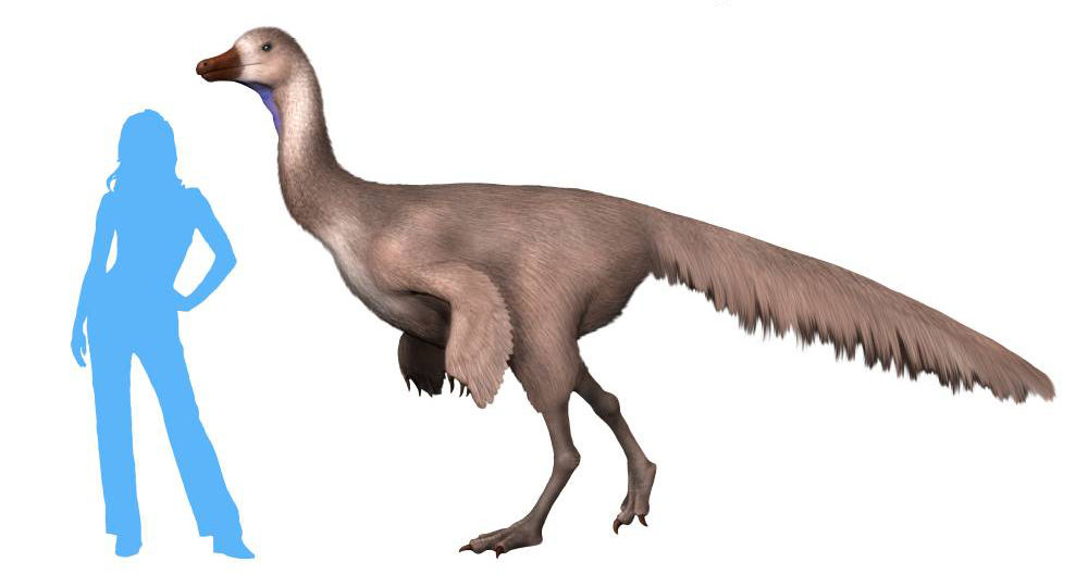 Arkansaurus NT.jpg