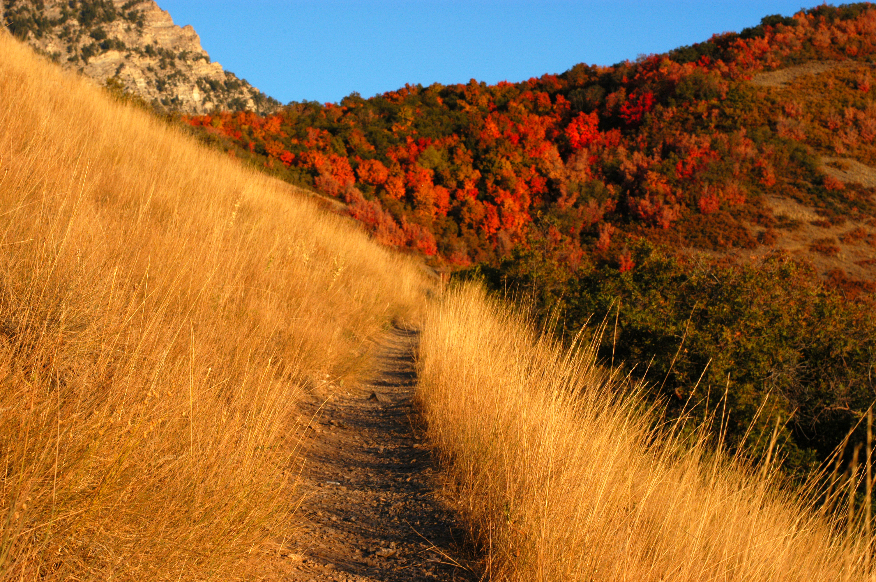 Trail Related Words