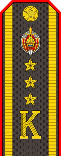 Belarus Police—19 Cadet-Senior Ensign rank insignia (Gunmetal).png