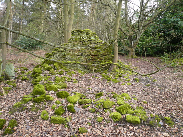 File:Bottom Moor - (Derelict Building with Moss) - geograph.org.uk - 341021.jpg