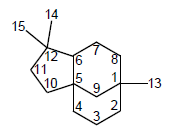 File:CLOVANO - NUMERACIÓN.png