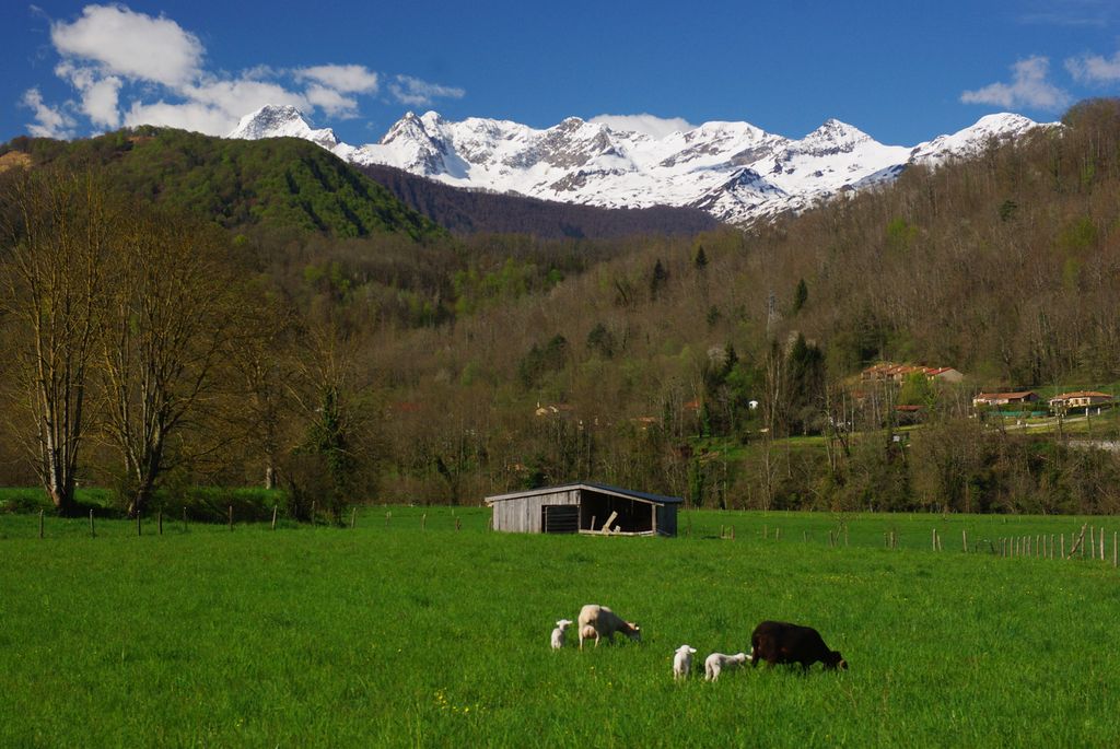 Département de l'Ariège Campagne_d%27Oust