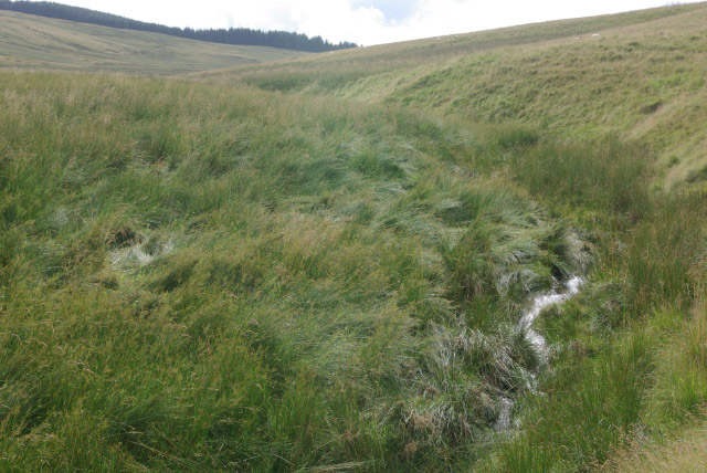 Coquet Head - geograph.org.uk - 932673