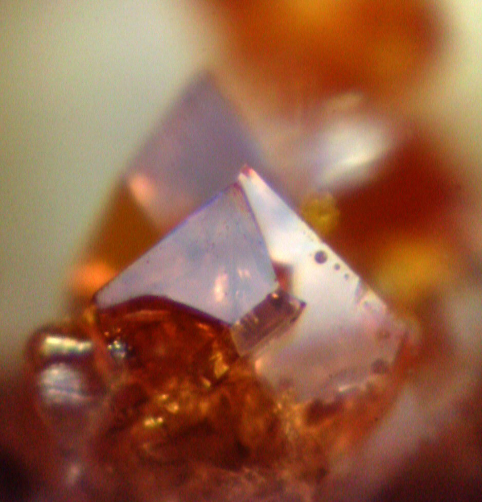 Crystals of acetylferrocene.jpg. 