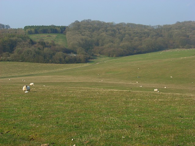 Combe Wood and Linkenholt Hanging