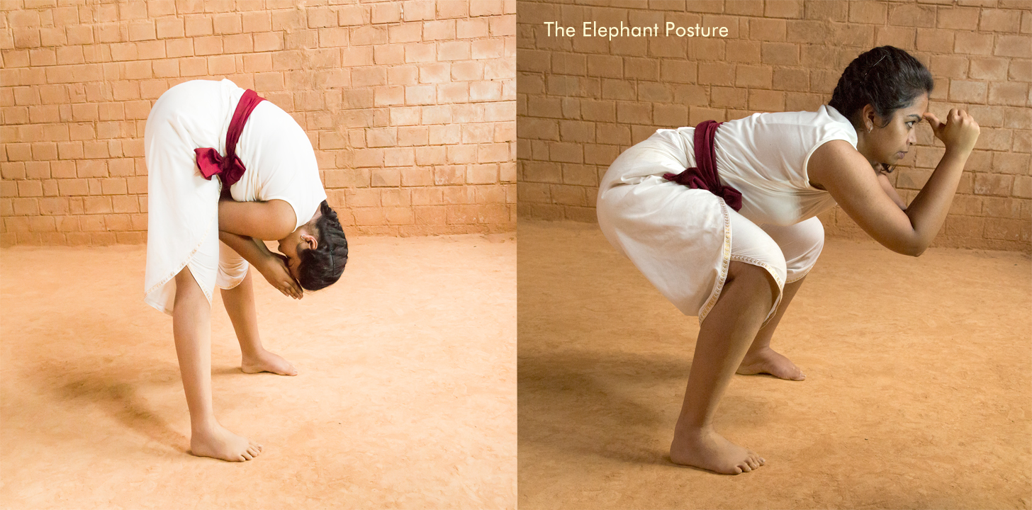 Page 11 | Elephant Pose Images - Free Download on Freepik