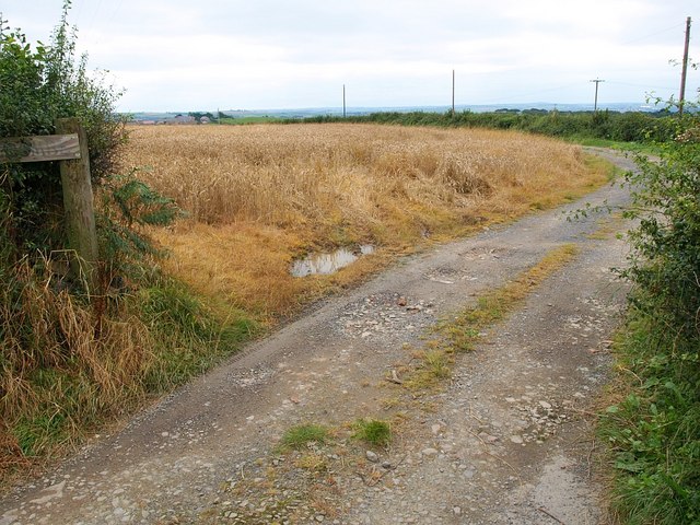 File:Field near Huish - geograph.org.uk - 942125.jpg