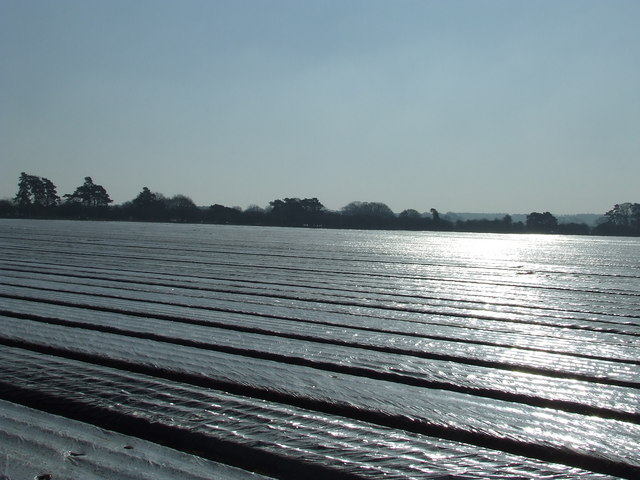 File:Glistening Fields - geograph.org.uk - 1230334.jpg