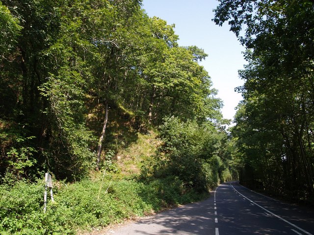 File:Gratleigh Wood - geograph.org.uk - 555022.jpg