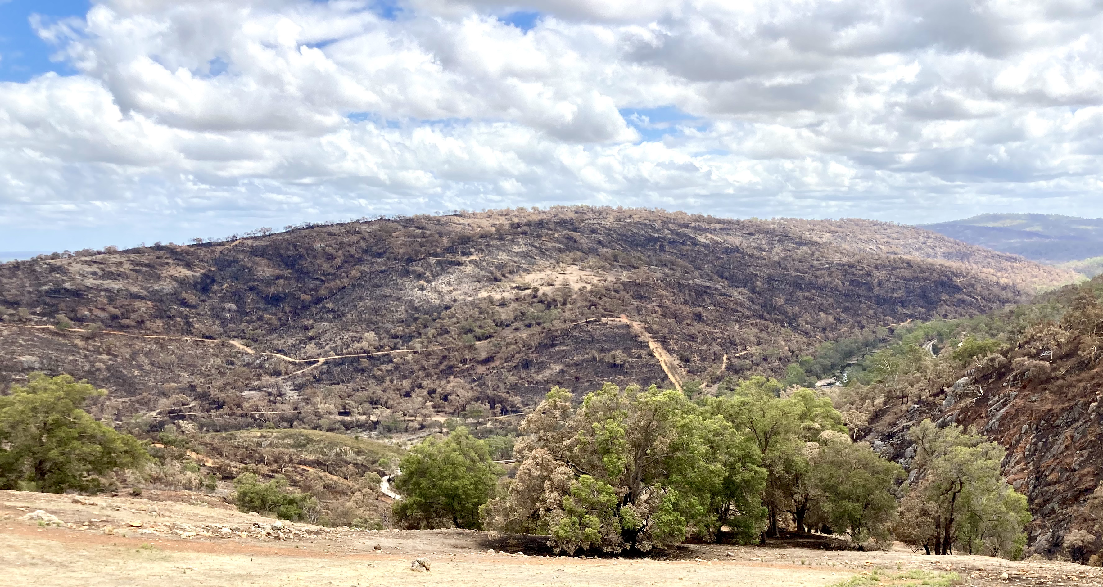 2021 Wooroloo Bushfire Wikiwand