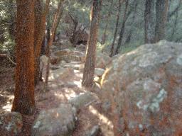 File:Kembla summit track.jpg