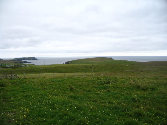 File:Looking across flower meadows towards Gloup Ness - geograph.org.uk - 533836.jpg