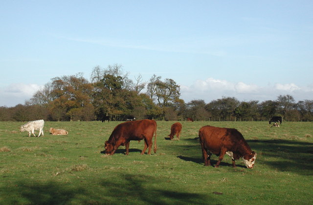 File:Lund, Hornsea - geograph.org.uk - 612240.jpg