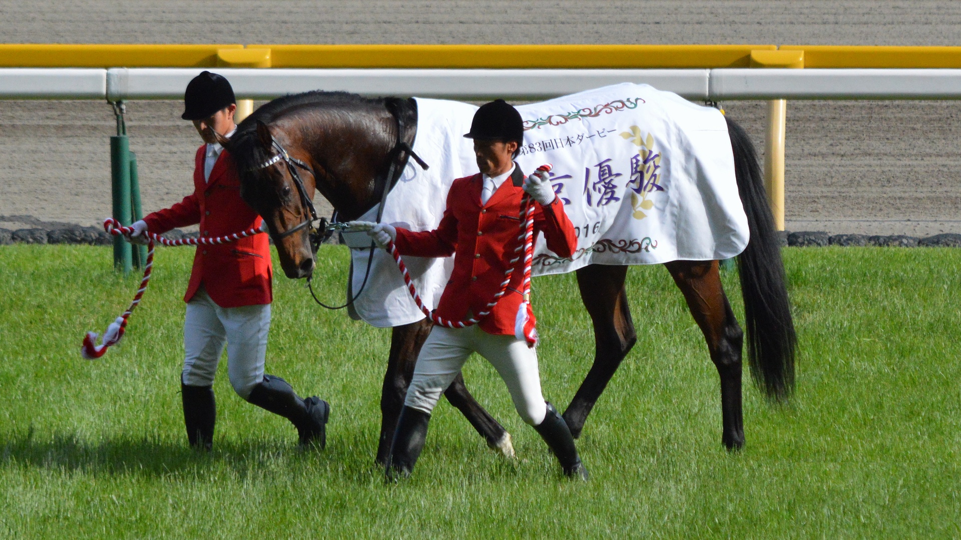 96年第41回有馬記念 現地購入 出走全馬14頭 - その他