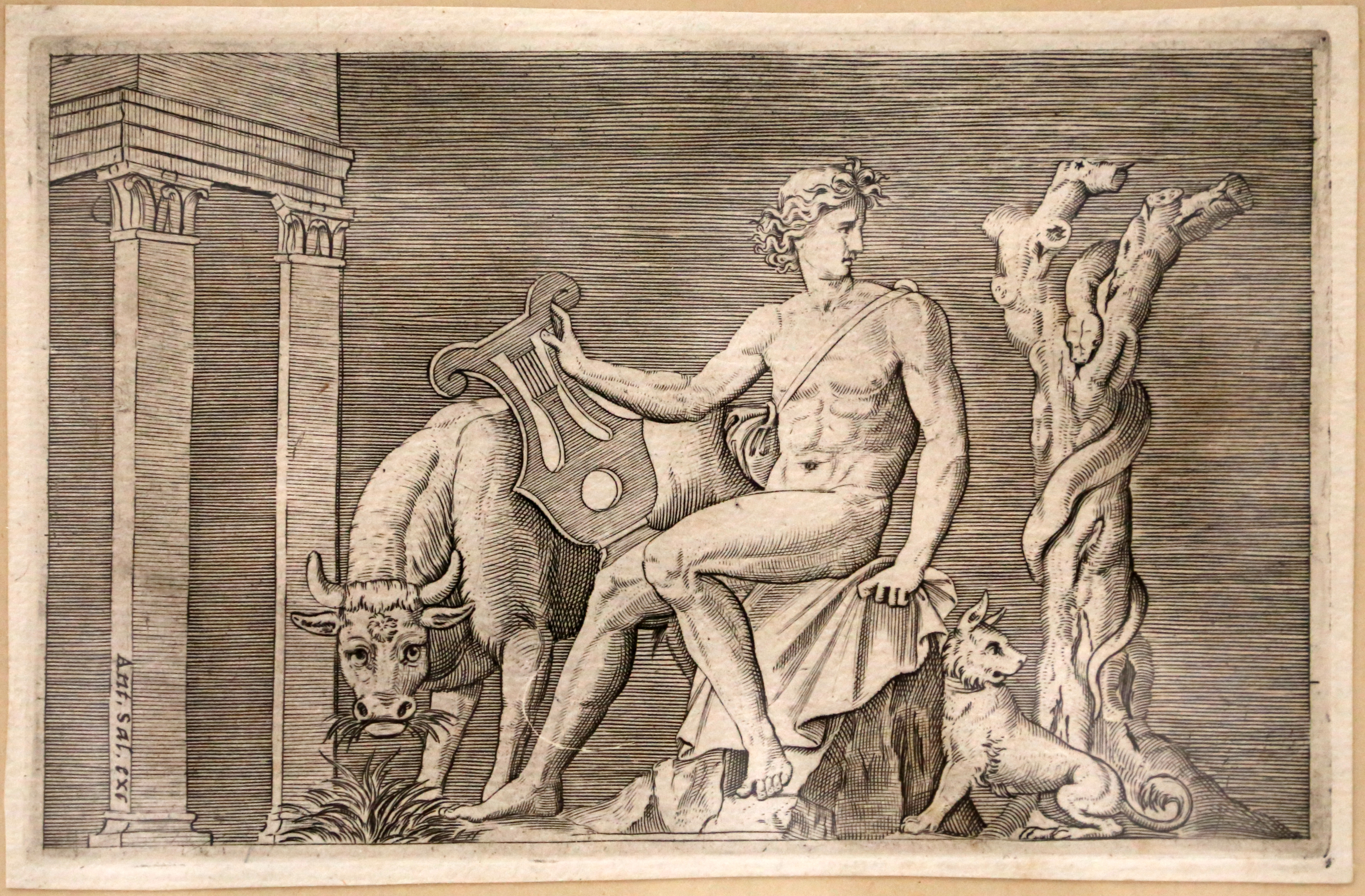 Аполлон бог рисунок