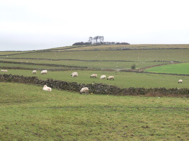 File:Minninglow Hill. - geograph.org.uk - 108413.jpg