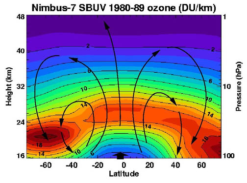 Brewer-Dobson circulation in the ozone layer.