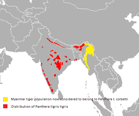 Panthera tigris tigris and Panthera tigris corbetti distribution map.png