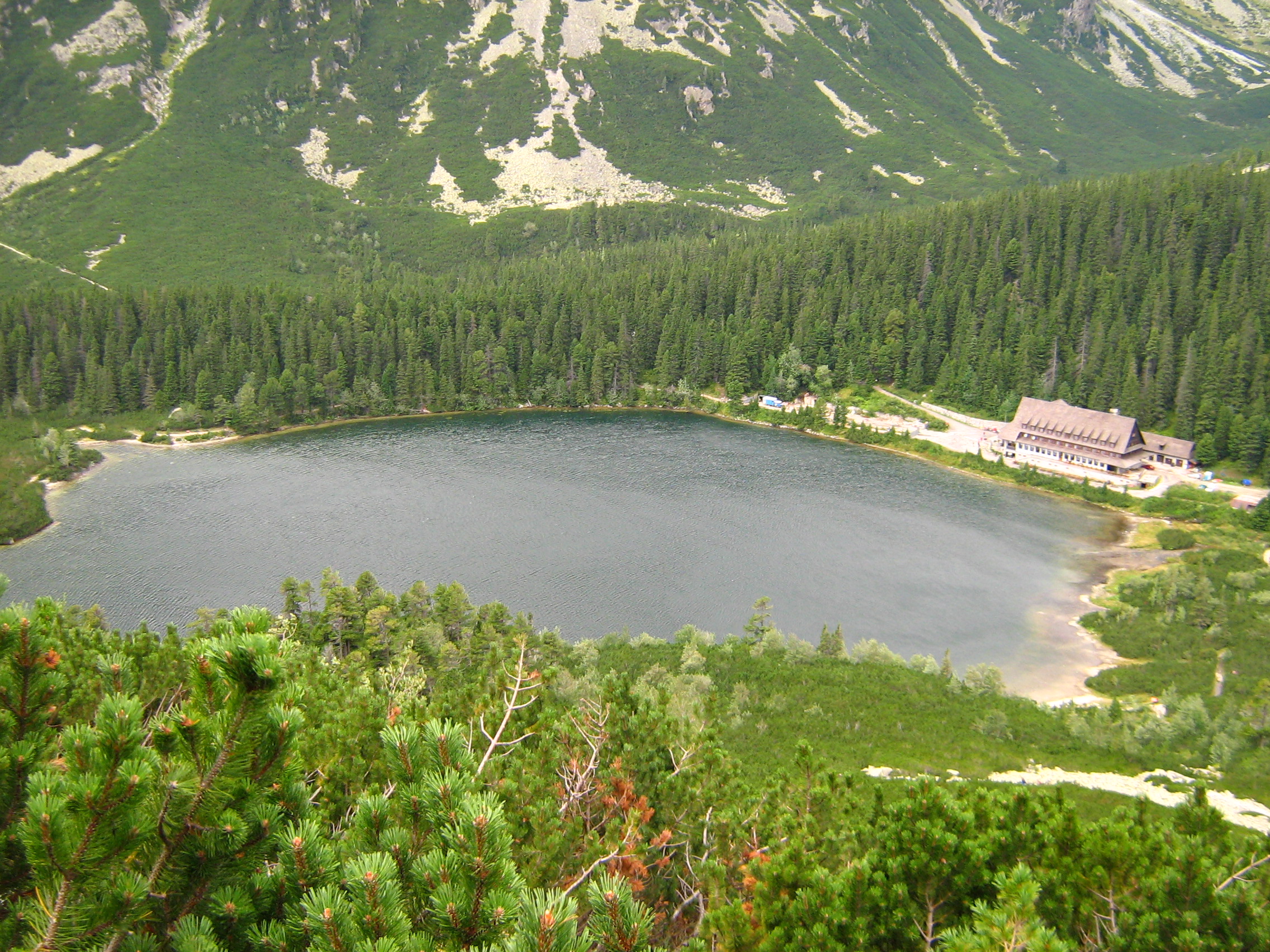 Popradsk%C3%A9_pleso.jpg