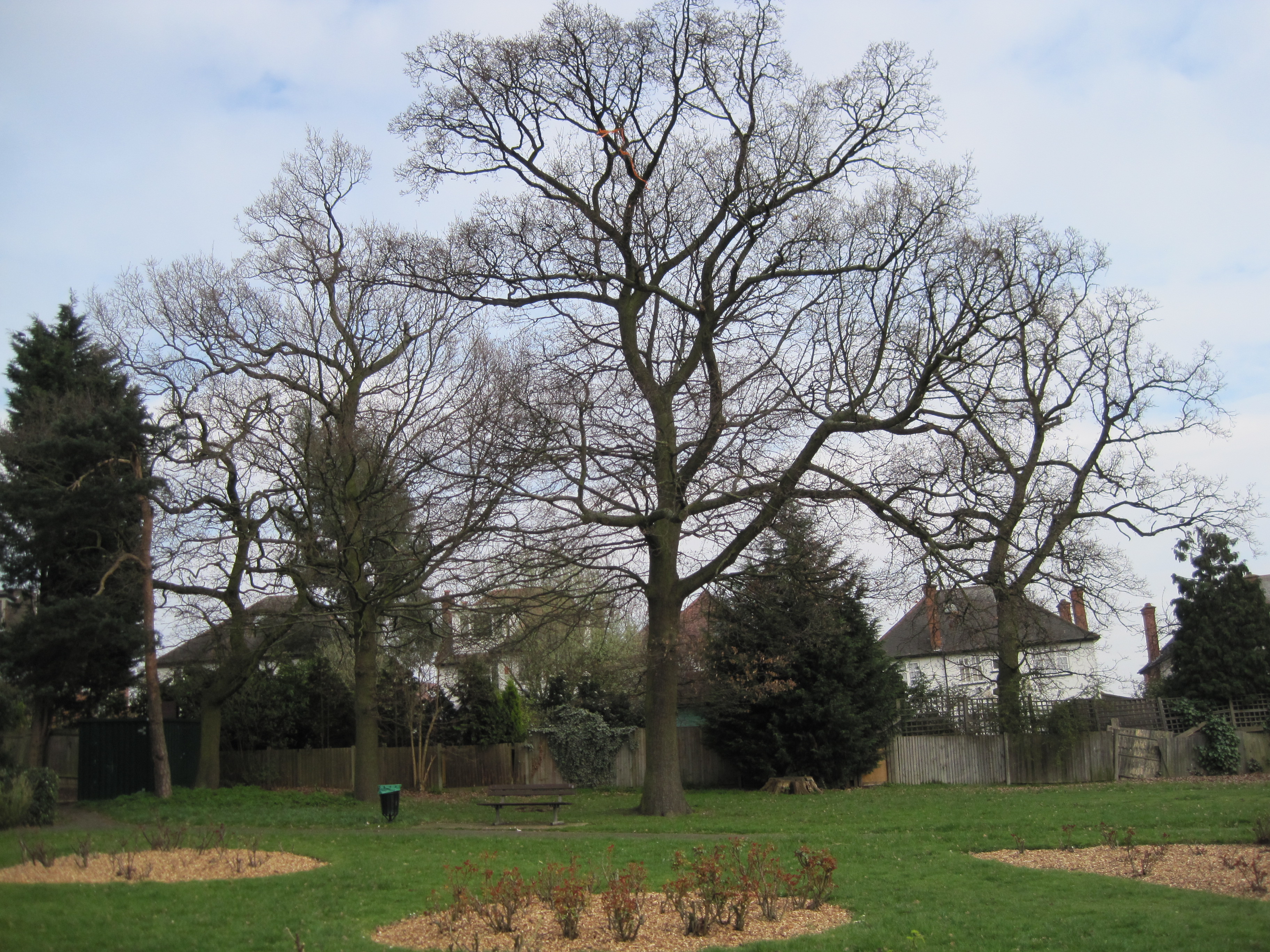 Princes Park, Temple Fortune