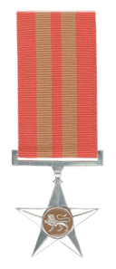 <span class="mw-page-title-main">Star for Bravery in Silver</span> Award